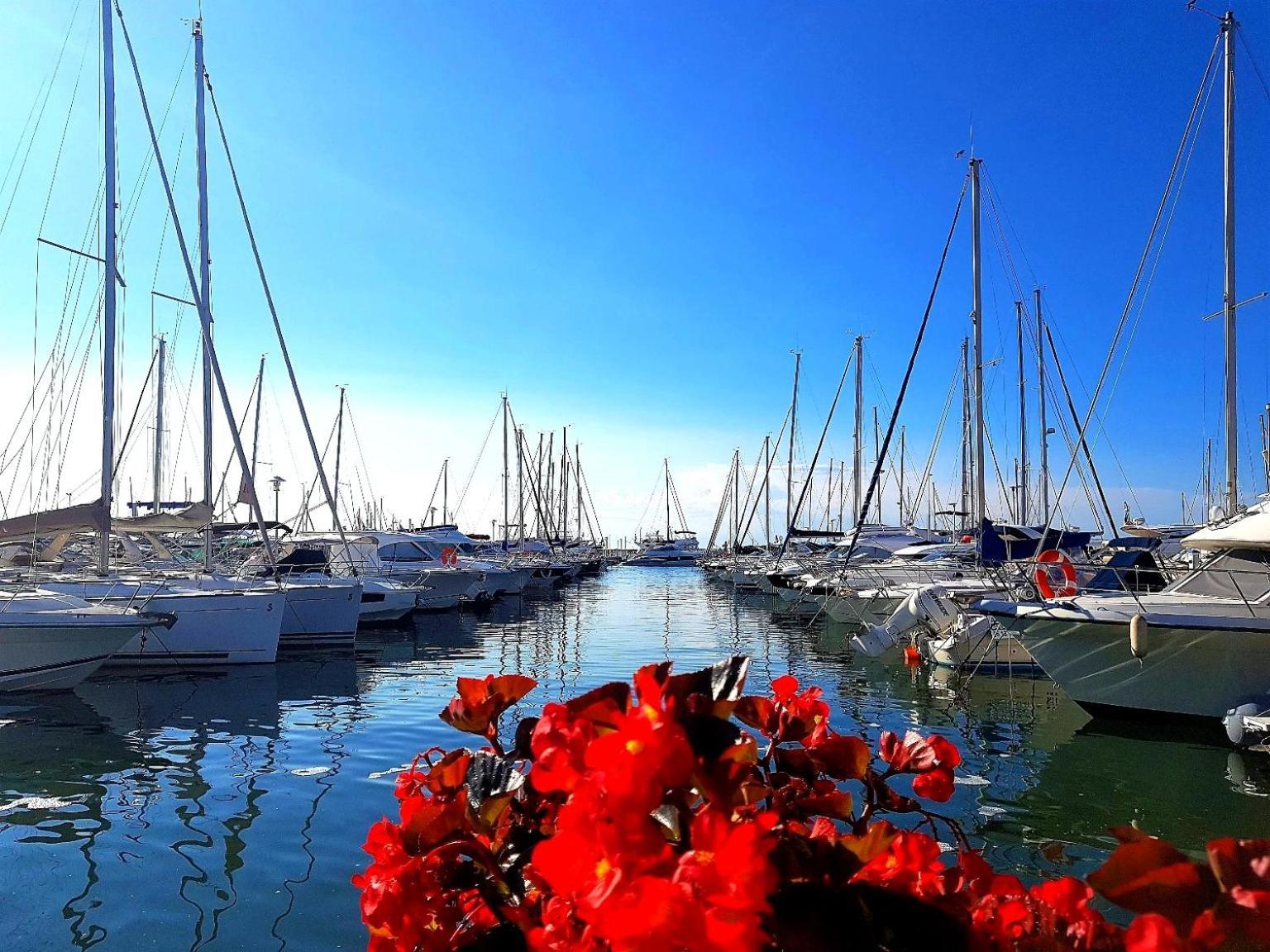 Studio T1- 2 Min Des Plages - Golf-Juan - Clim&Wifi Vallauris Bagian luar foto